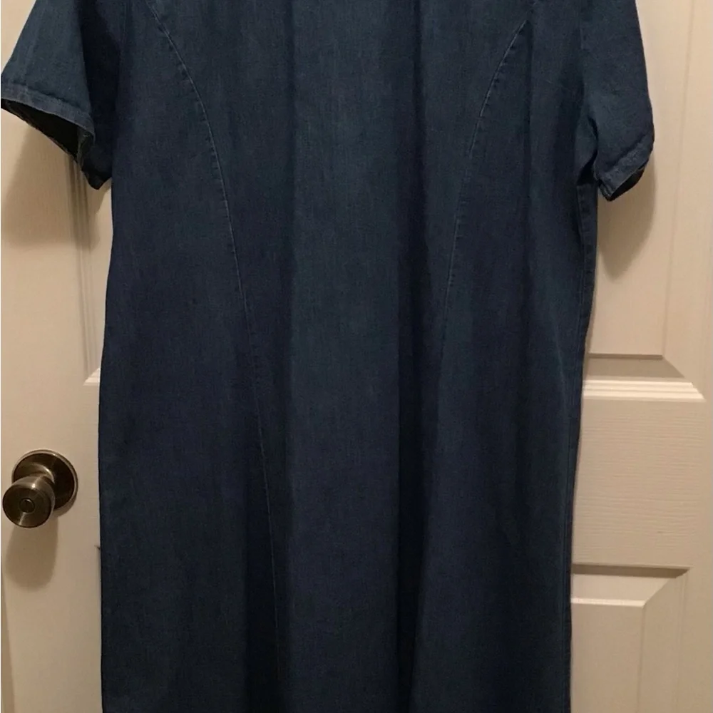 Denim Button-Down Maxi Dress - Picture 3 of 3